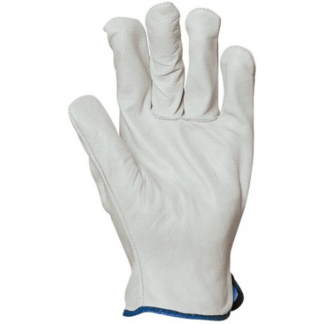 Gants maîtrise standard