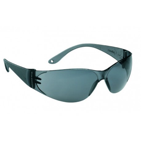 Lunettes POKELUX monture teintée oculaire teinté antibuée