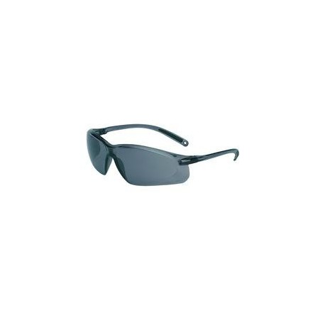 Lunette A700 grise et oculaire incolore gris TSR